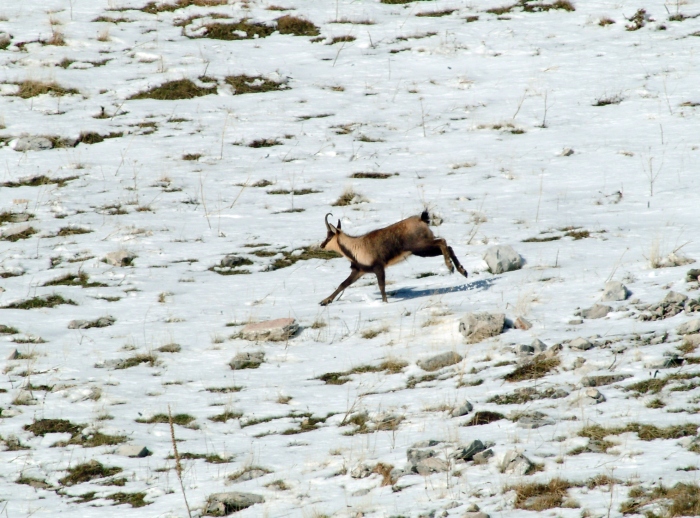 da Piano di Campitelli a Passo dei Monaci